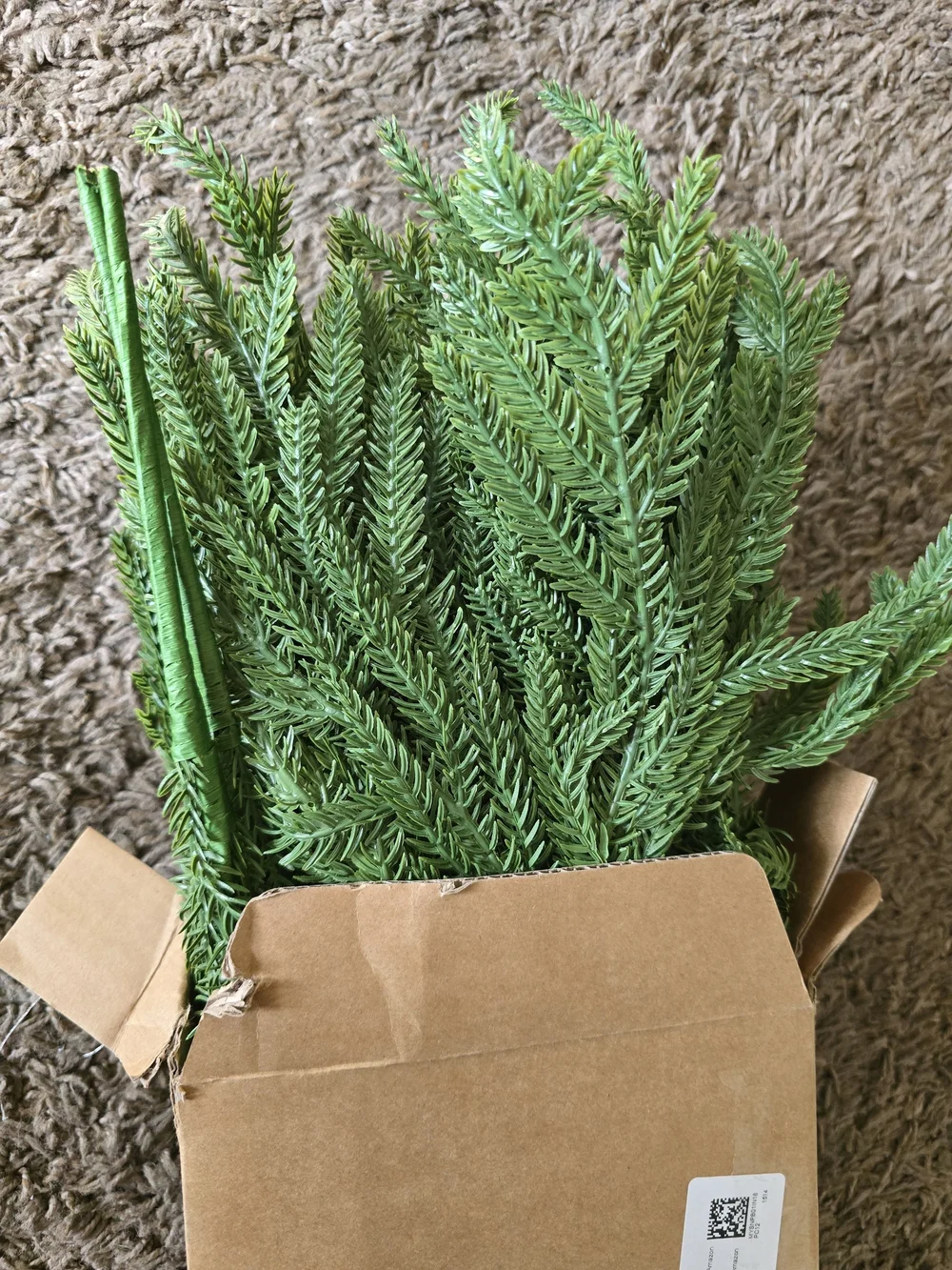 Christmas Norfolk Pine Branches. Set of 6. NWT.
